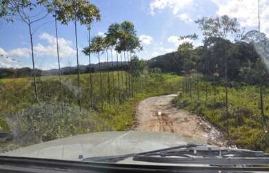 Imagem 6: Fazenda Sítio Grande - bairro Iririaia - Cananéia / SP 294,64 alqueires