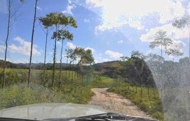 Imagem 7: Fazenda Sítio Grande - bairro Iririaia - Cananéia / SP 294,64 alqueires