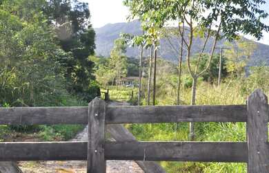 Imagem 2: Fazenda Sítio Grande - bairro Iririaia - Cananéia / SP 294,64 alqueires