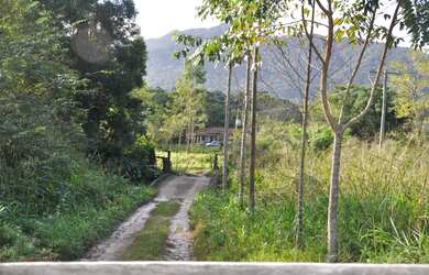 Imagem 3: Fazenda Sítio Grande - bairro Iririaia - Cananéia / SP 294,64 alqueires