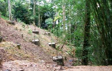 Imagem 3: TERRENO EM CONDOMINIO RESIDENCIAL em SÃO PAULO - SP, Taguaiba