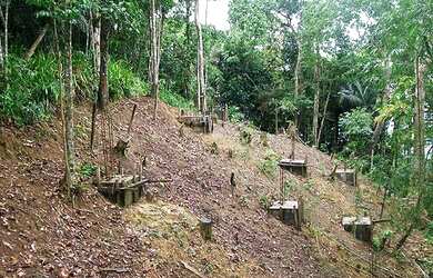 Imagem 4: TERRENO EM CONDOMINIO RESIDENCIAL em SÃO PAULO - SP, Taguaiba