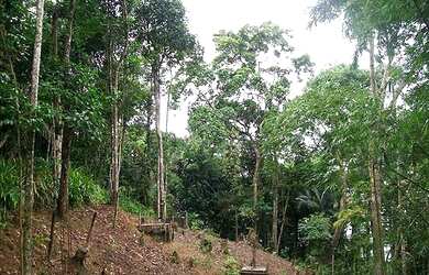 Imagem 5: TERRENO EM CONDOMINIO RESIDENCIAL em SÃO PAULO - SP, Taguaiba