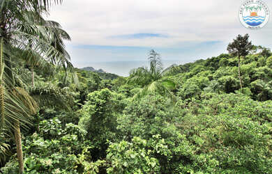 Imagem 7: CASA EM CONDOMINIO TEMPORADA em Guarujá - SP, Tijucopava