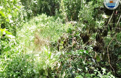 Imagem 2: TERRENO EM CONDOMINIO RESIDENCIAL em GUARUJÁ - SP, Iporanga