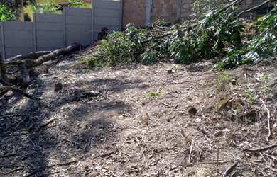 Imagem 3: LOTE 403 METROS , BAIRRO FRANCELINOS