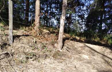 Imagem 2: LOTE 403 METROS , BAIRRO FRANCELINOS