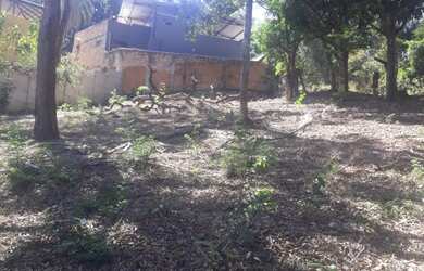 Imagem 9: LOTE 403 METROS , BAIRRO FRANCELINOS