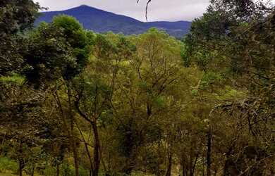 Imagem: O terreno possui 1000m² de Área Privada e está localizado