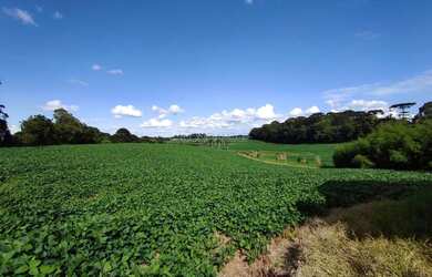 Imagem: O terreno possui 1 Banheiro, 154.070m² de Área Privada e