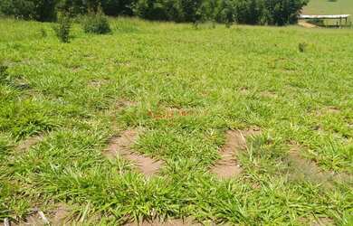 Imagem 4: AREA INDUSTRIAL em BRAGANÇA PAULISTA - SP, GUARIPOCABA