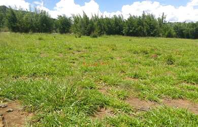 Imagem 7: AREA INDUSTRIAL em BRAGANÇA PAULISTA - SP, GUARIPOCABA