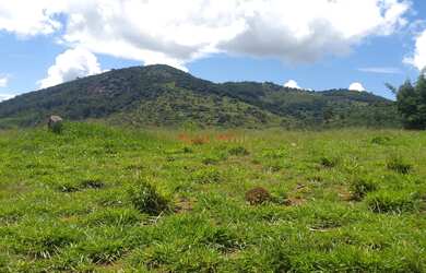 Imagem 9: AREA INDUSTRIAL em BRAGANÇA PAULISTA - SP, GUARIPOCABA