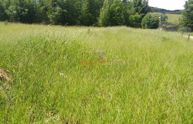 Imagem 12: AREA INDUSTRIAL em BRAGANÇA PAULISTA - SP, GUARIPOCABA