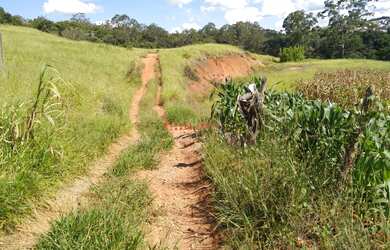 Imagem: O terreno possui 16.000m² de Área Privada, Imóvel novo e