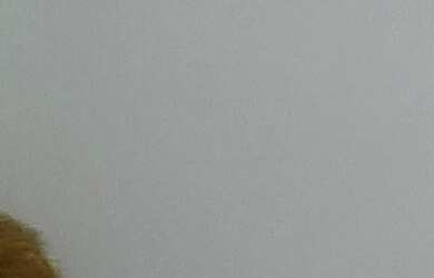 Imagem 15: CASA RESIDENCIAL em BRAGANÇA PAULISTA - SP, CONDOMÍNIO RESIDENCIAL SUNSET VILLAGE