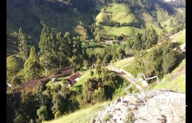 Imagem: A fazenda possui 4 Dormitórios, 3 Banheiros, 51m² de Área