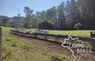 Imagem 2: FAZENDA 320 HECTARES COM 60 PIQUETES