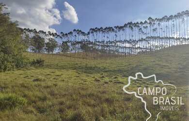 Imagem 4: FAZENDA 320 HECTARES COM 60 PIQUETES