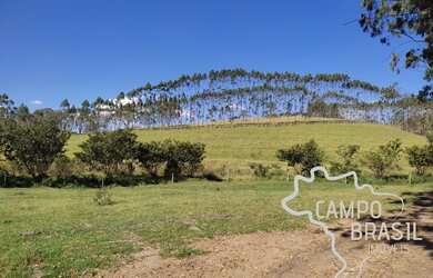 Imagem 10: FAZENDA 320 HECTARES COM 60 PIQUETES