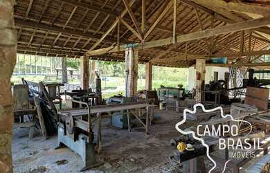 Imagem 15: FAZENDA 320 HECTARES COM 60 PIQUETES