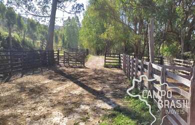 Imagem 16: FAZENDA 320 HECTARES COM 60 PIQUETES