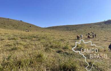 Imagem 15: LINDA FAZENDA 96 HECTARES TOPOGRAFIA MÉDIA TODA FORMADA COM CACHOEIRA