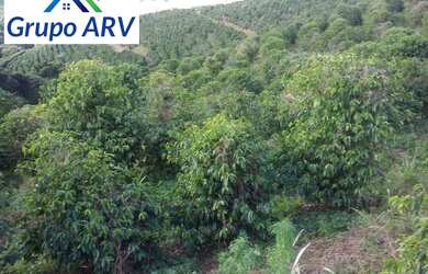 Imagem 11: Fazenda 580 hectares em Ouro Fino - MG