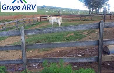 Imagem 5: Fazenda com 315 hectares em Lambari MG