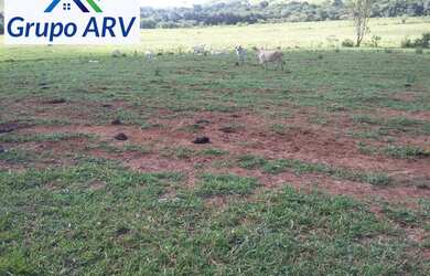 Imagem 9: Fazenda com 315 hectares em Lambari MG