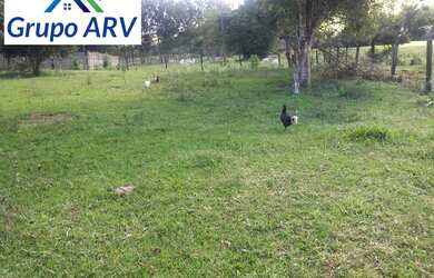 Imagem 10: Fazenda com 315 hectares em Lambari MG