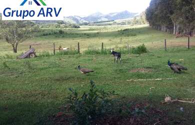 Imagem 15: Fazenda com 315 hectares em Lambari MG