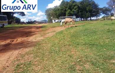 Imagem 16: Fazenda com 315 hectares em Lambari MG