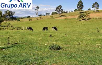 Imagem: A fazenda possui 3 Dormitórios, 1 Suíte, 2 Banheiros, 10 Vagas