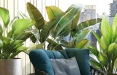 Imagem: O apartamento possui 4 Dormitórios, 4 Suítes, 6 Banheiros