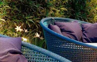 Imagem 15: 2 dormitórios na Rua Das Palmeiras