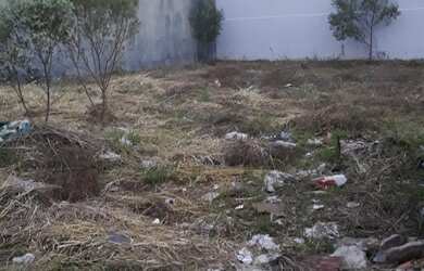 Imagem 4: TERRENO RESIDENCIAL em Fazenda Rio Grande - PR, Eucaliptos