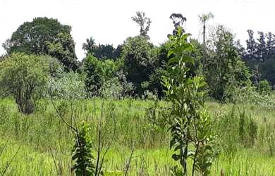 Imagem: O terreno possui 11.500m² de Área Privada e está localizado