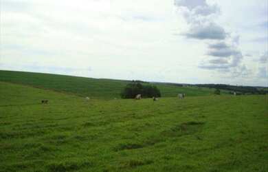 Imagem: A fazenda possui 530m² de Área e está localizado em Indefinido