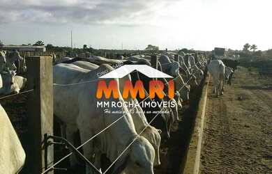 Imagem 2: FAZENDA NA BAHIA. 74.000m² de Áreae7 Banheiros