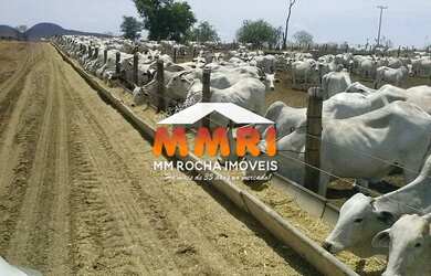 Imagem 5: FAZENDA NA BAHIA. 74.000m² de Áreae7 Banheiros