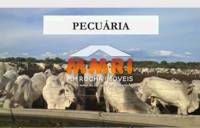 Imagem 16: FAZENDA NA BAHIA. 74.000m² de Áreae7 Banheiros