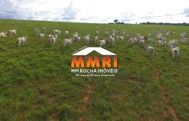 Imagem: A fazenda possui 7 Banheiros, 20m² de Área, 1.121m² de Área