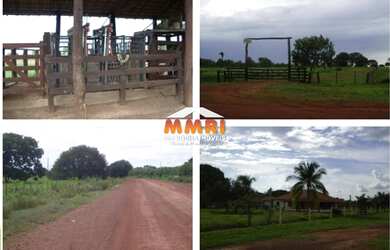 Imagem 5: Fazenda de Dupla Aptidão em São Felix de Araguaia/MT
