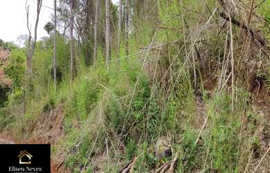 Imagem 10: Vendo Lotes no bairro Retiro de Paty em Paty do Alferes - RJ