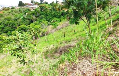 Imagem 5: Vendo Terreno no bairro Lagoinha em Miguel Pereira -RJ