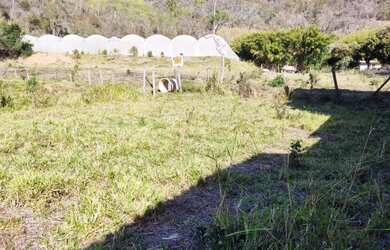 Imagem 10: Vendo terreno no bairro Fortaleza em Paty do Alferes - RJ