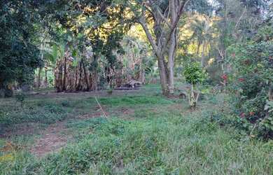 Imagem 1: Vendo Terrenos no bairro Maravilha em Paty do Alferes - RJ