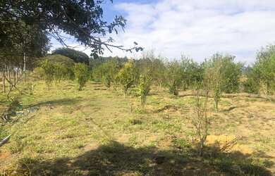 Imagem 13: Vendo Lotes no bairro Bela Vista em Paty do Alferes - RJ