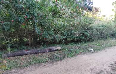 Imagem 6: Vendo Terrenos no bairro Maravilha em Paty do Alferes - RJ